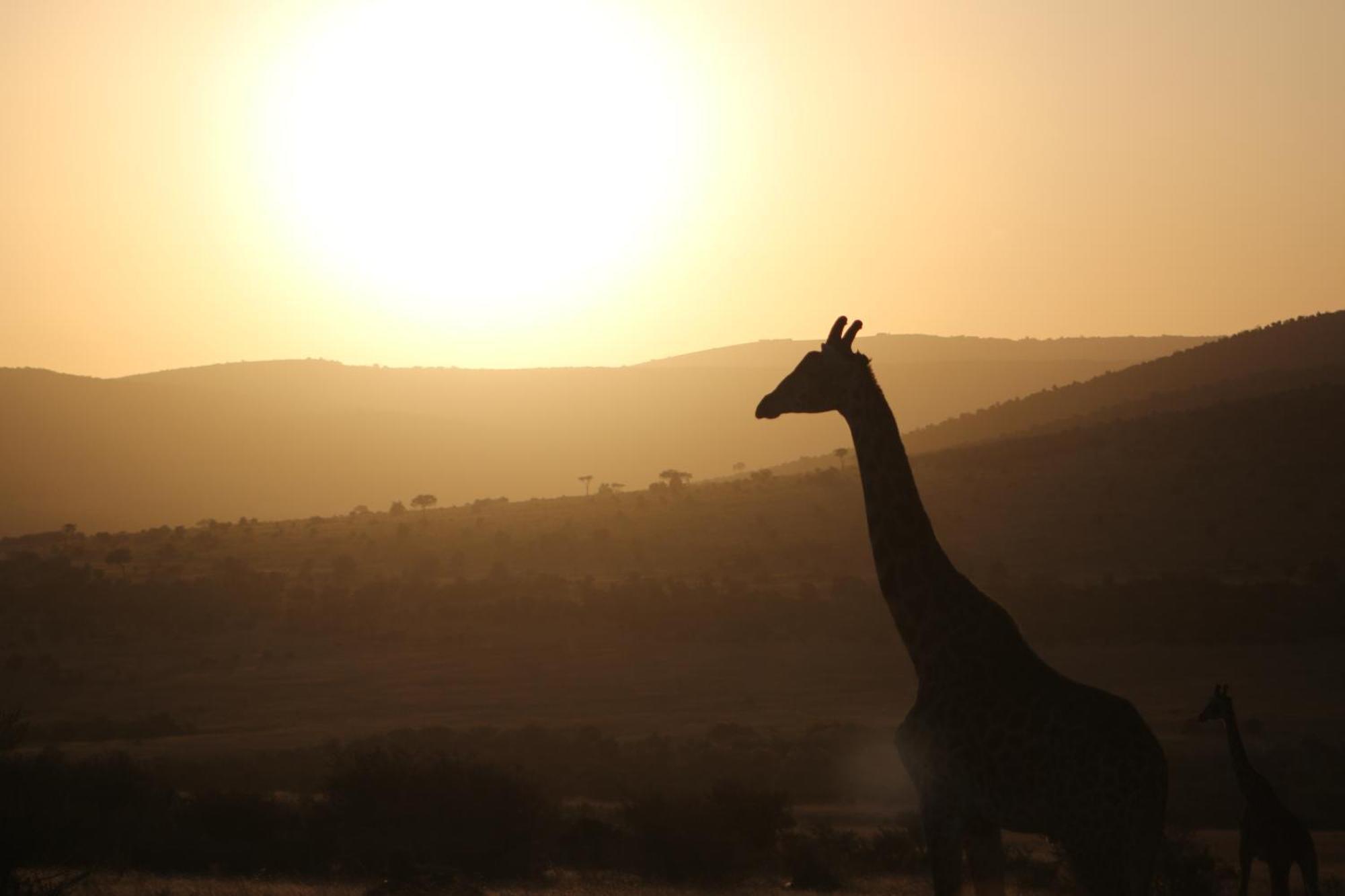 Samana Mara Hotell Maasai Mara Exteriör bild